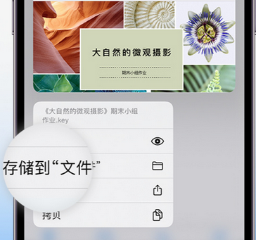 民勤apple维修中心分享iPhone文件应用中存储和找到下载文件