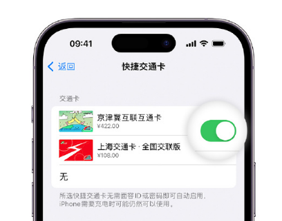 民勤apple维修点分享iPhone上更换Apple Pay快捷交通卡手绘卡面 