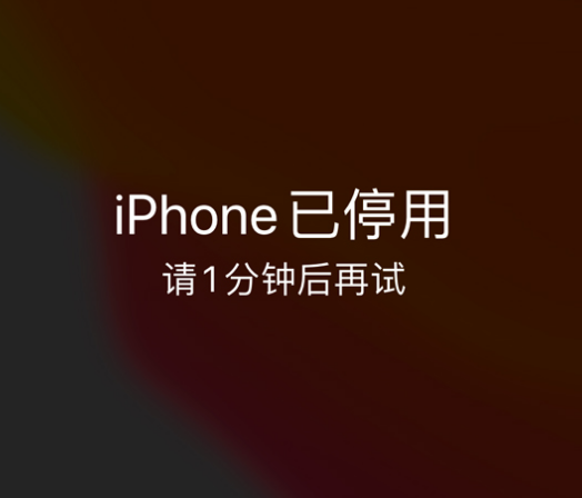 民勤苹果手机维修分享:iPhone 显示“不可用”或“已停用”怎么办？还能保留数据吗？ 