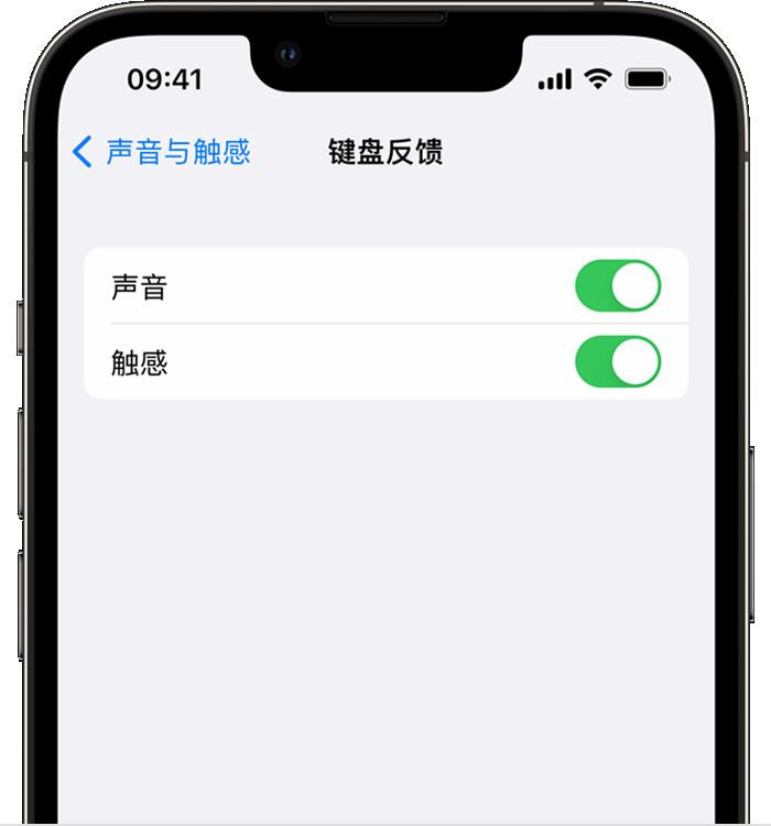 民勤苹果14维修店分享如何在 iPhone 14 机型中使用触感键盘 