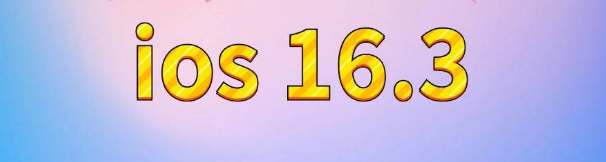 民勤苹果服务网点分享苹果iOS16.3升级反馈汇总 